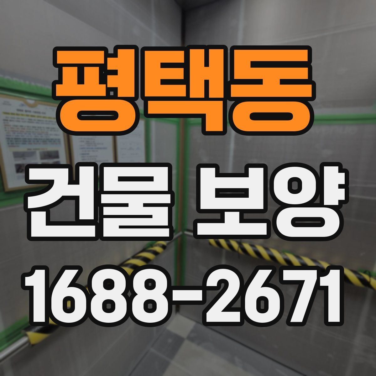 평택동 건물 보양