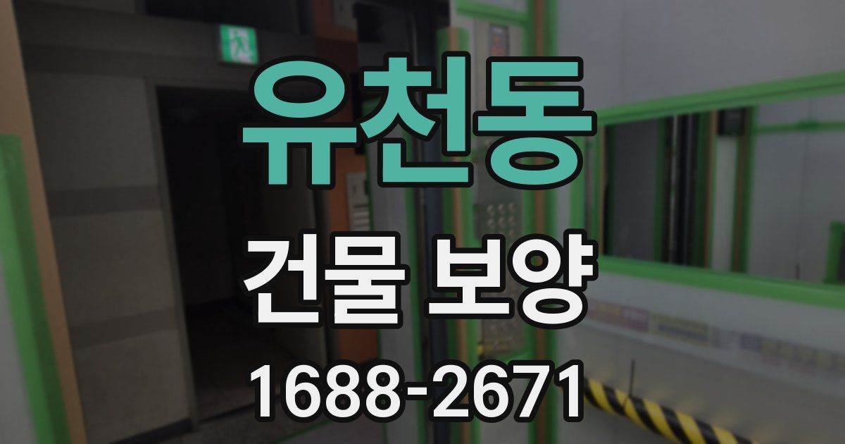 유천동 건물 보양