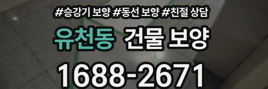 유천동 건물 보양