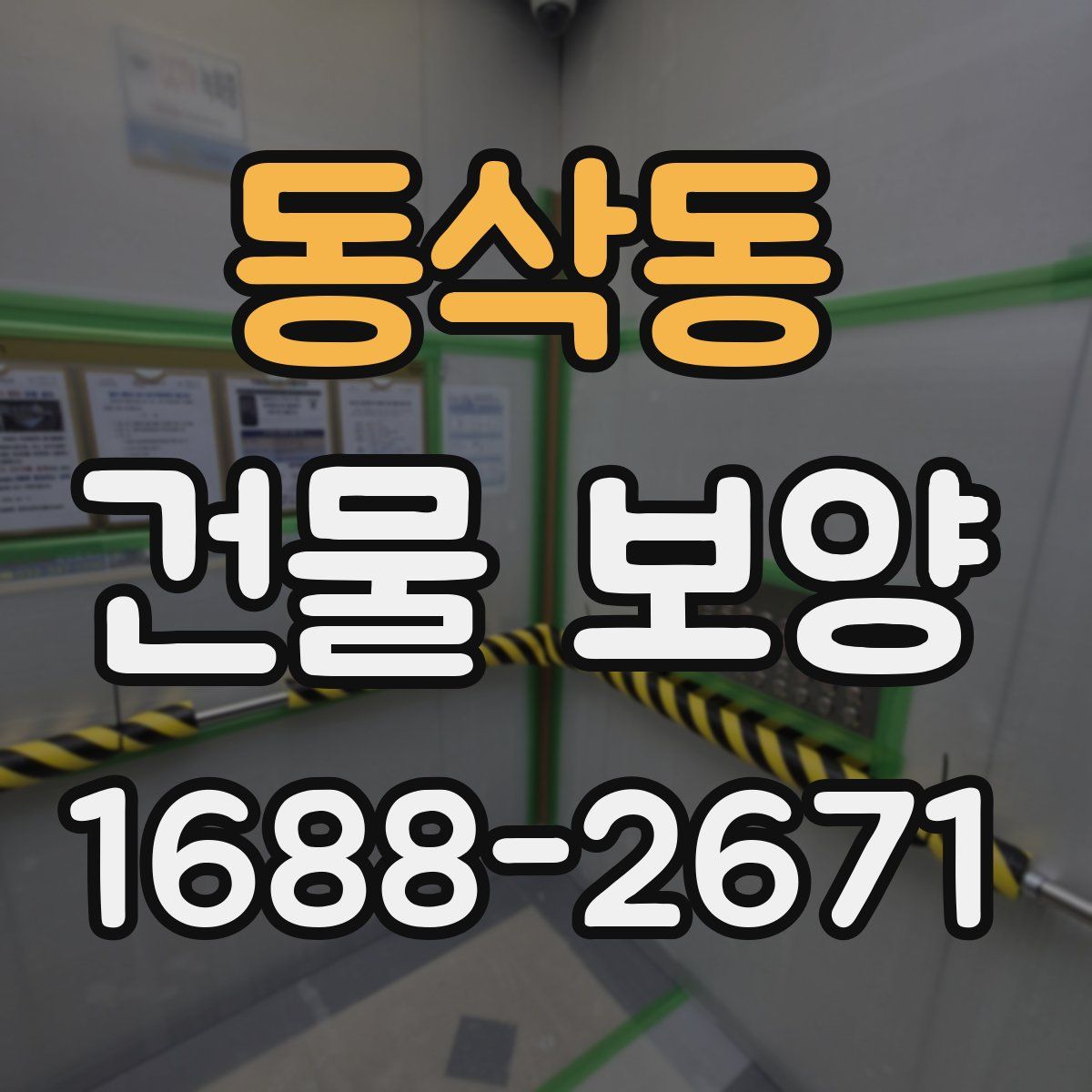 동삭동 건물 보양