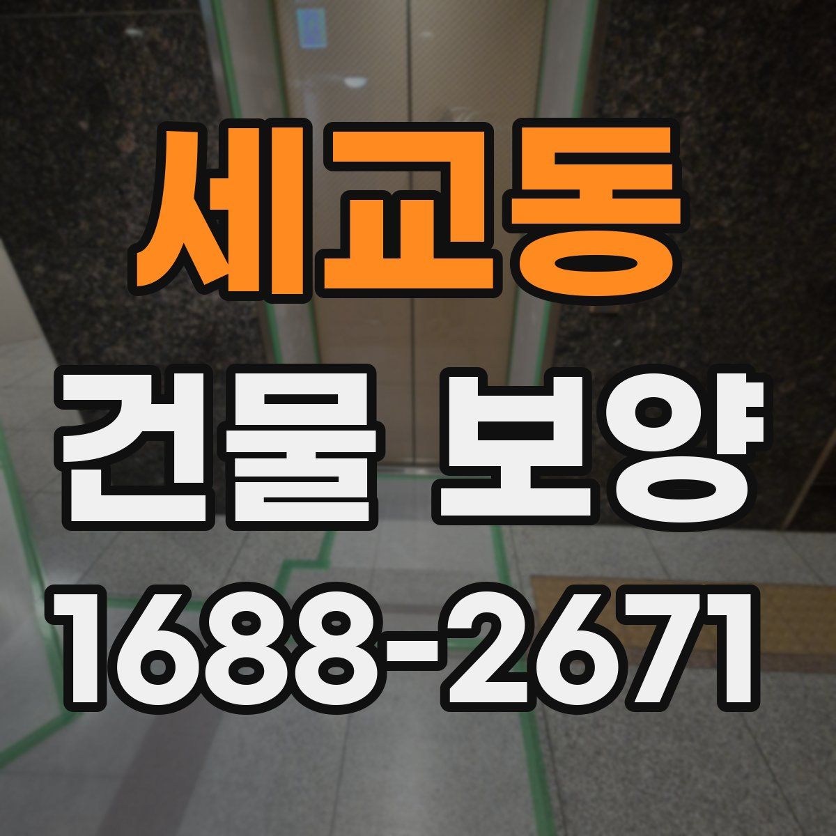 세교동 건물 보양