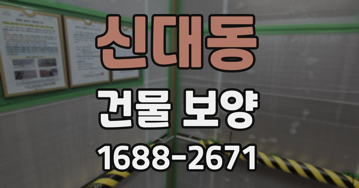 신대동 건물 보양