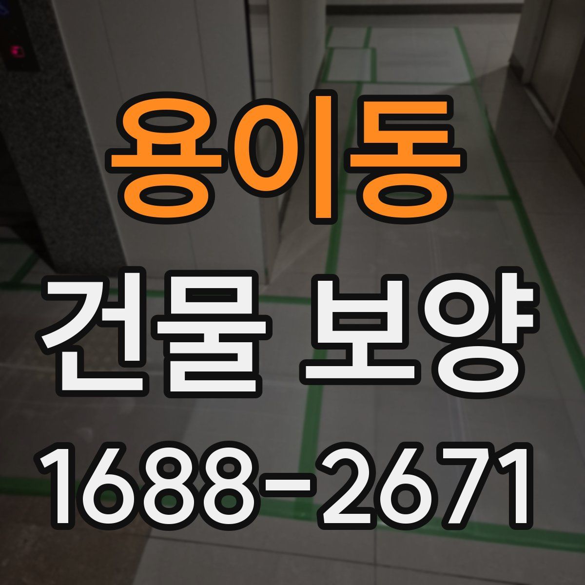 용이동 건물 보양