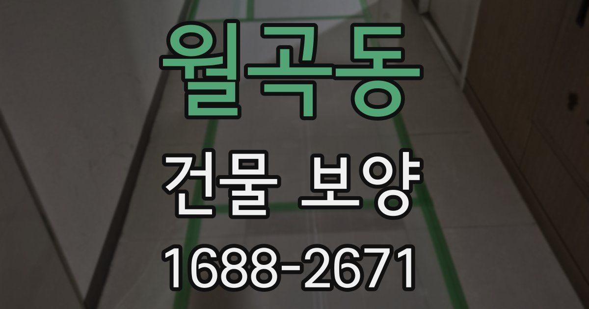 월곡동 건물 보양