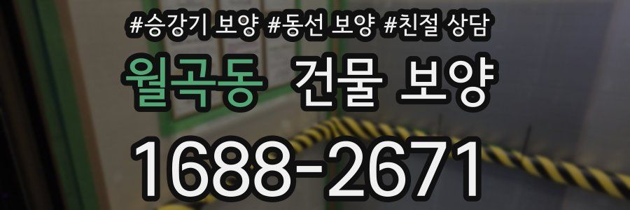 월곡동 건물 보양