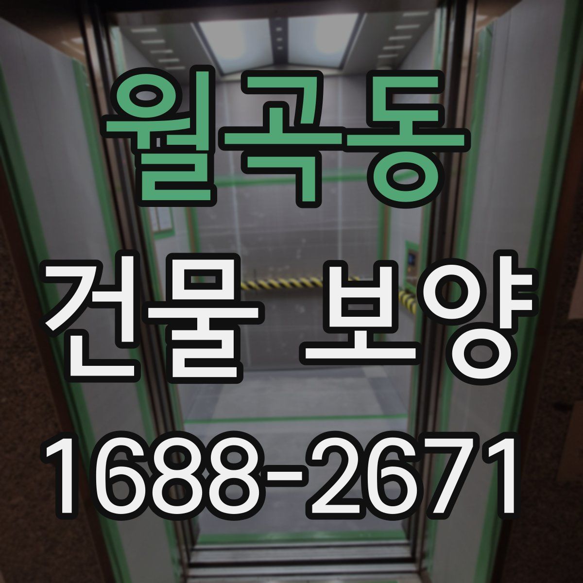 월곡동 건물 보양