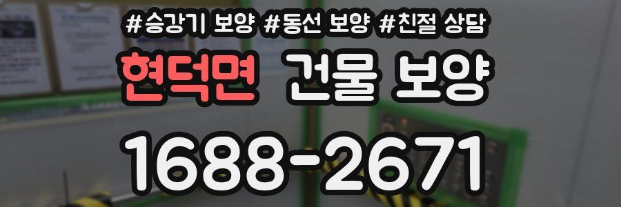 현덕면 건물 보양
