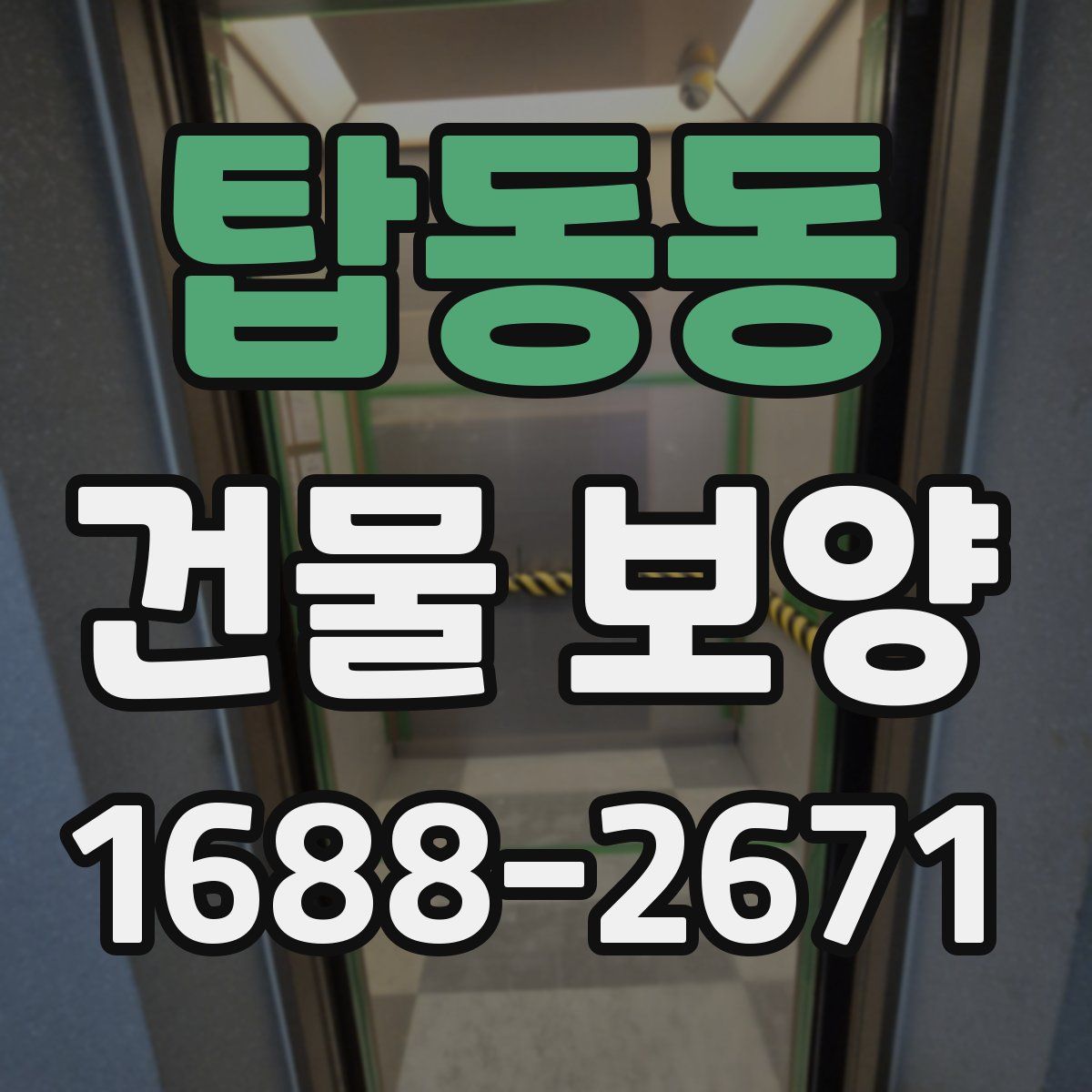 탑동동 건물 보양