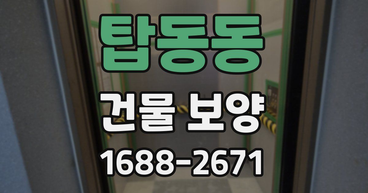 탑동동 건물 보양