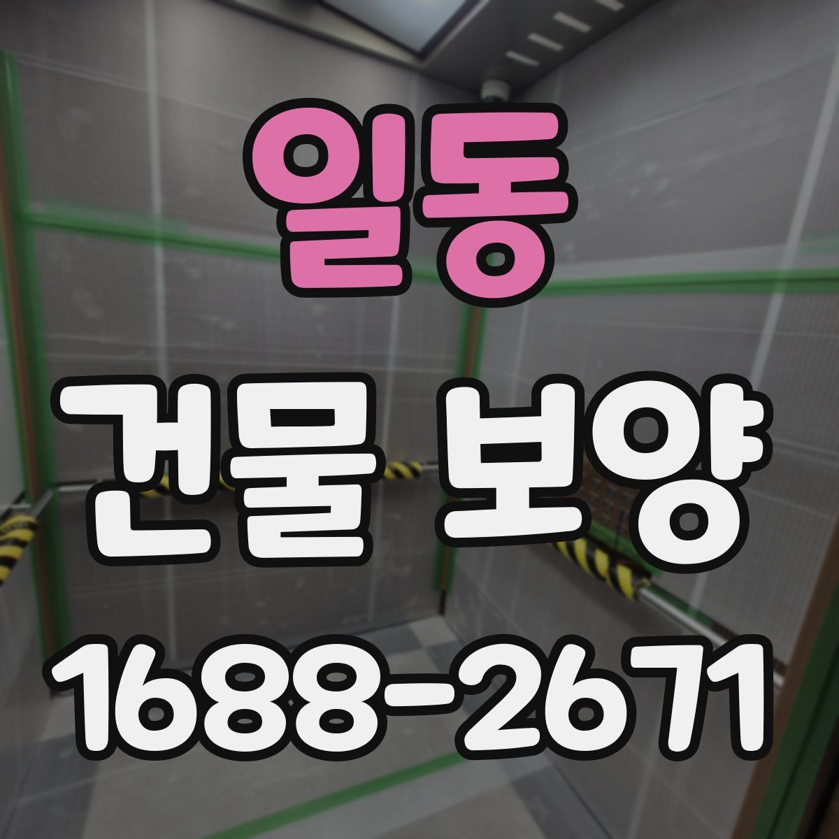 일동 건물 보양