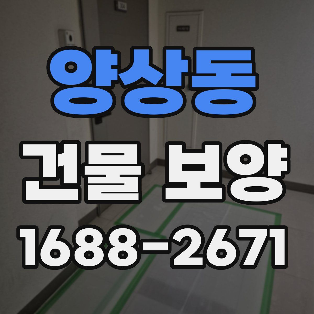 양상동 건물 보양