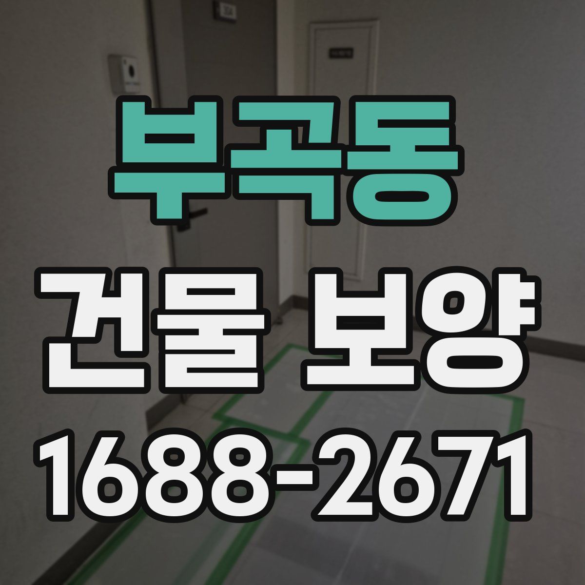 부곡동 건물 보양