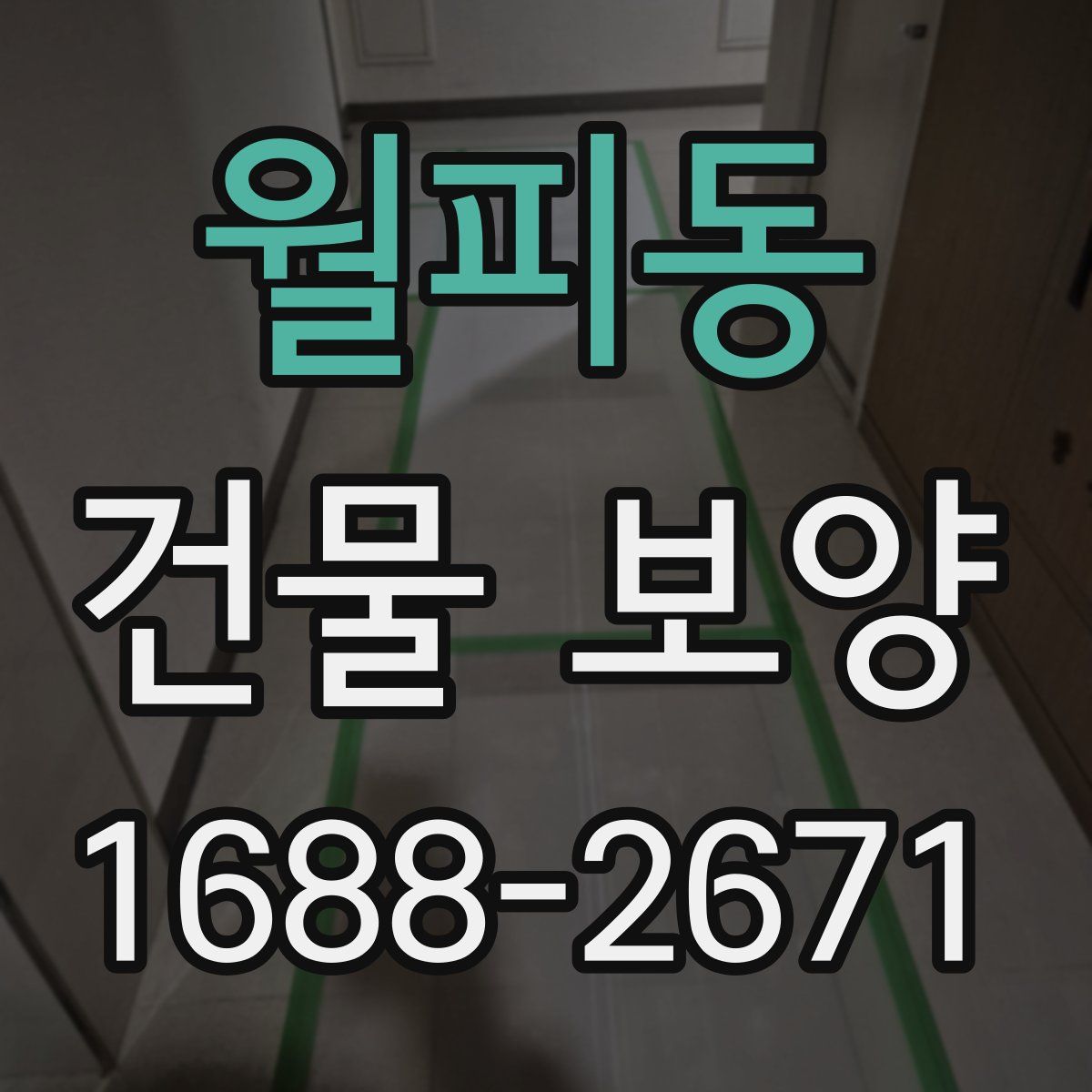 월피동 건물 보양