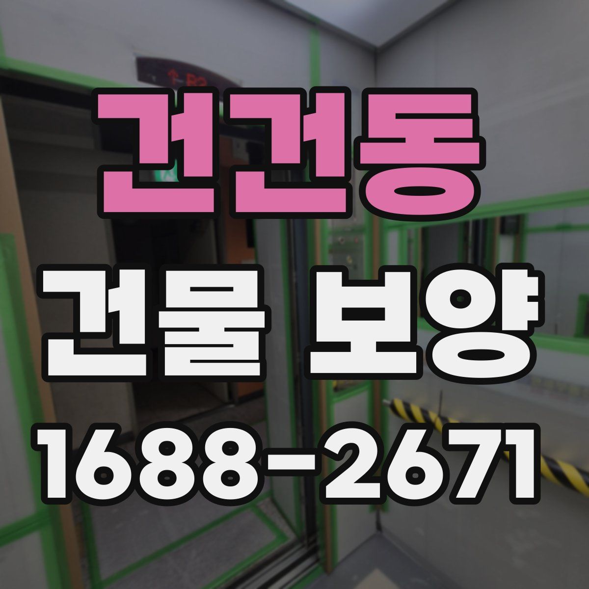 건건동 건물 보양