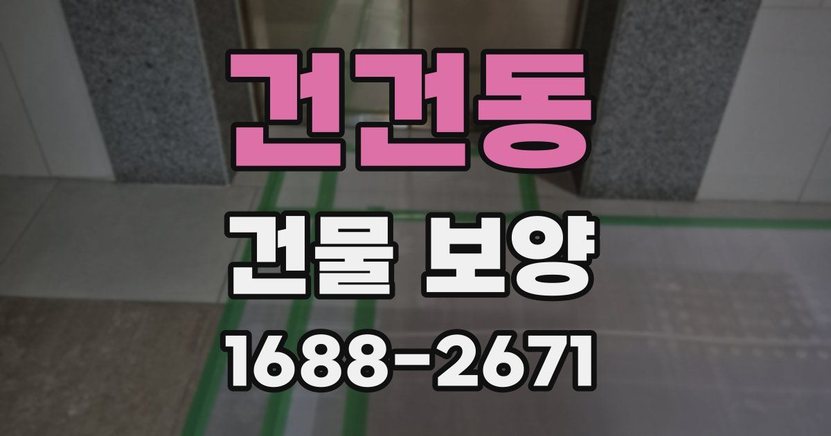 건건동 건물 보양