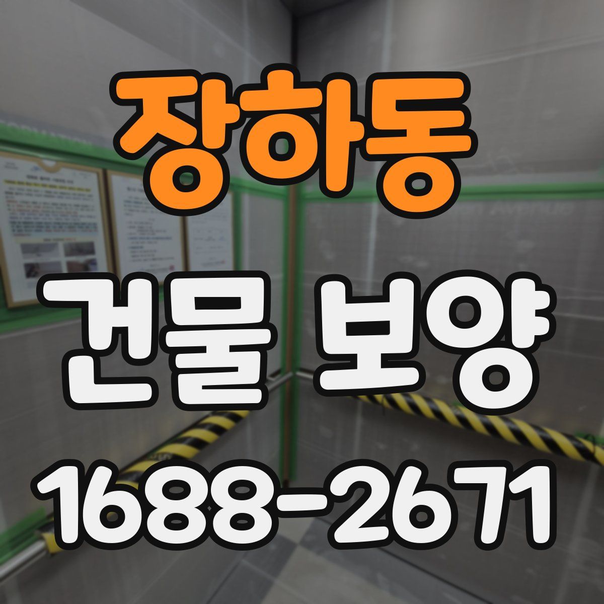 장하동 건물 보양