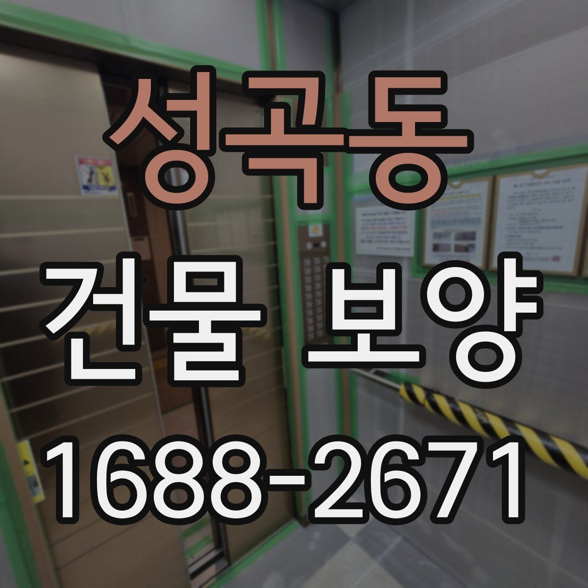성곡동 건물 보양