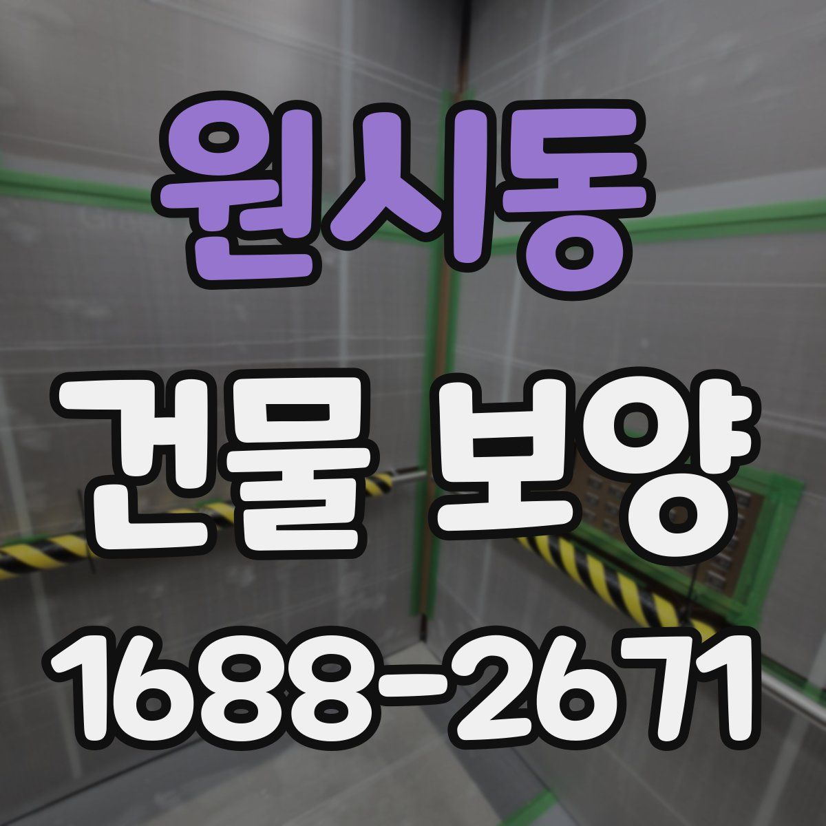 원시동 건물 보양