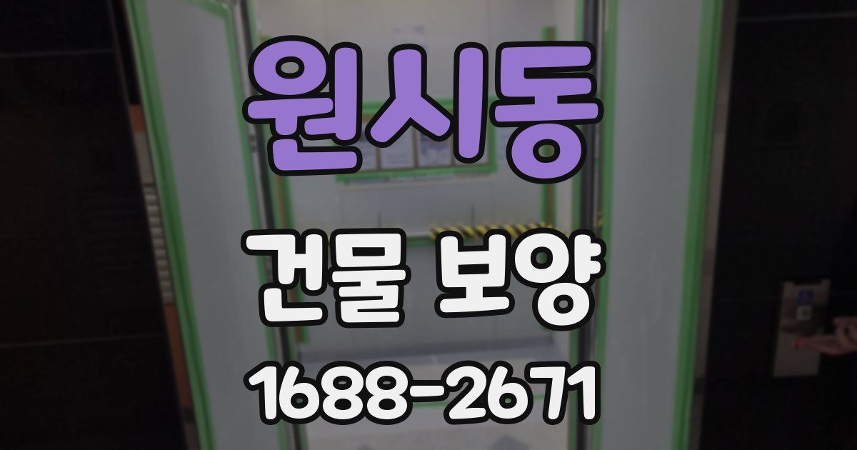 원시동 건물 보양