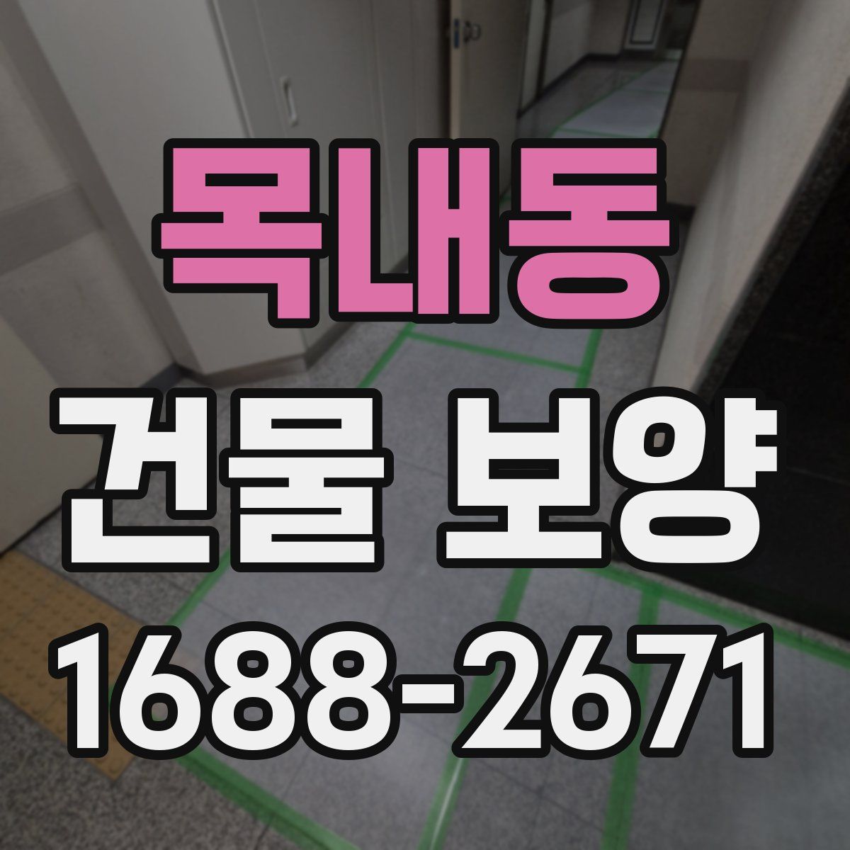 목내동 건물 보양