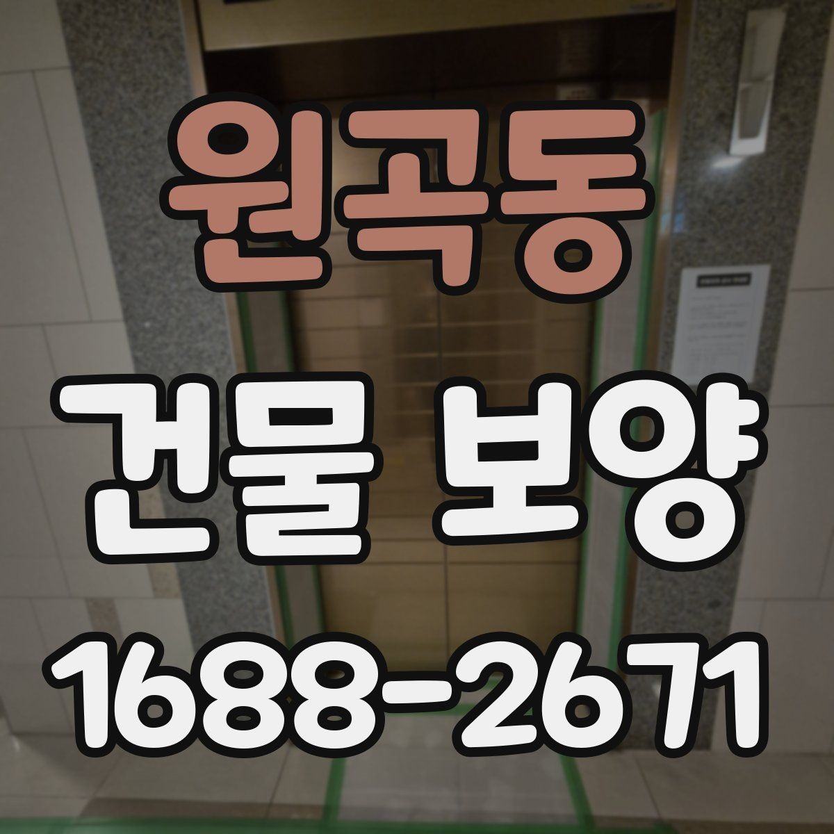 원곡동 건물 보양 공정별 진행 방식 이해하기