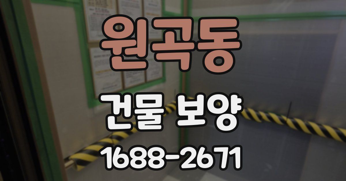 원곡동 건물 보양