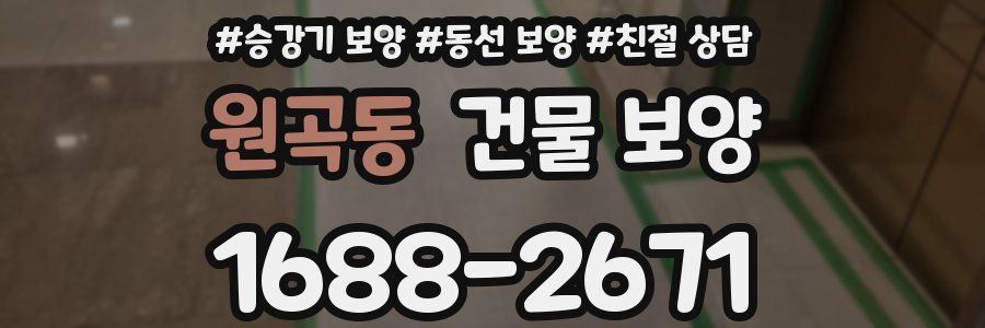 원곡동 건물 보양