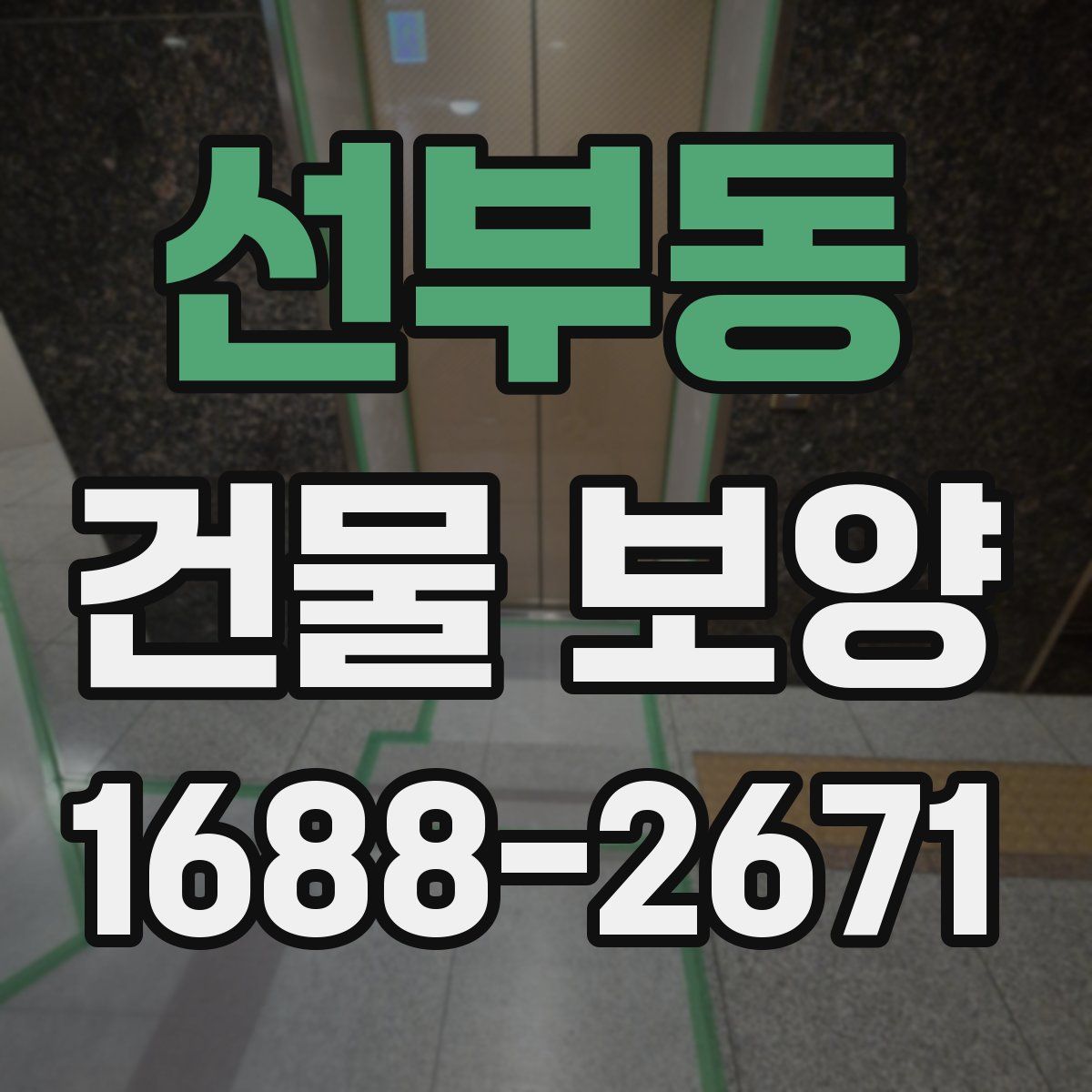 선부동 건물 보양