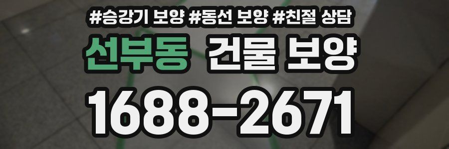 선부동 건물 보양