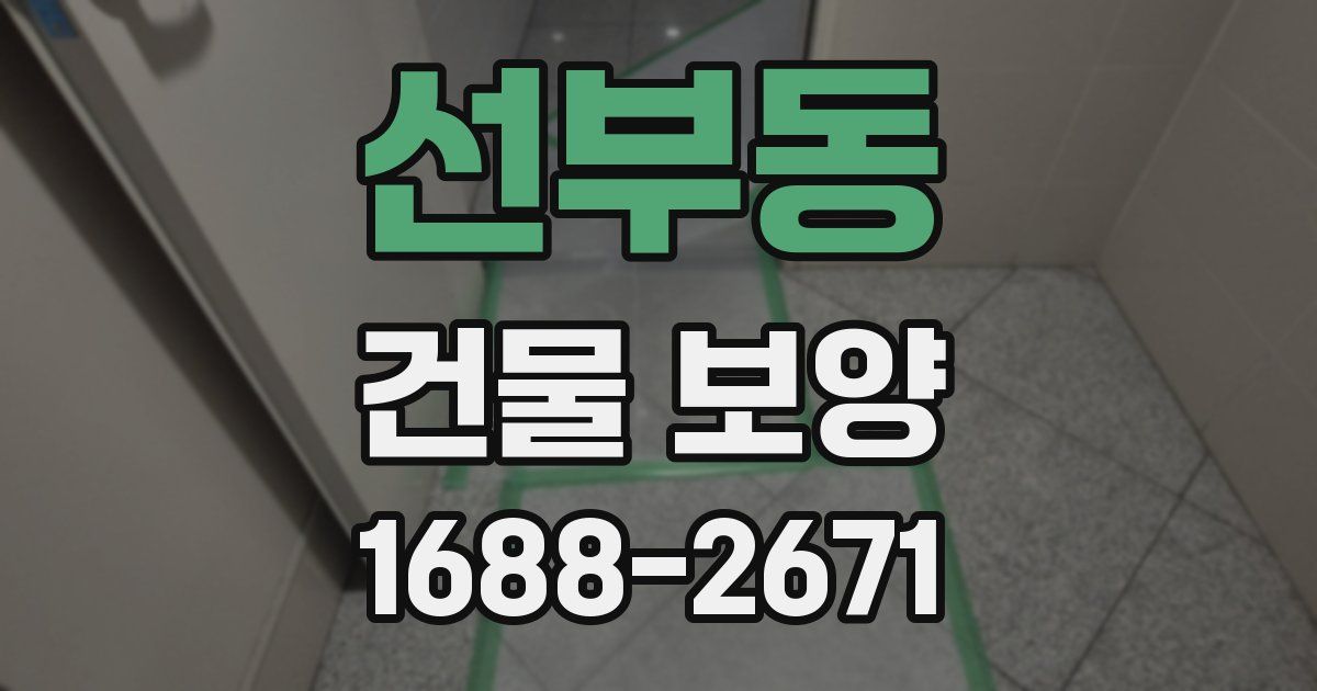 선부동 건물 보양