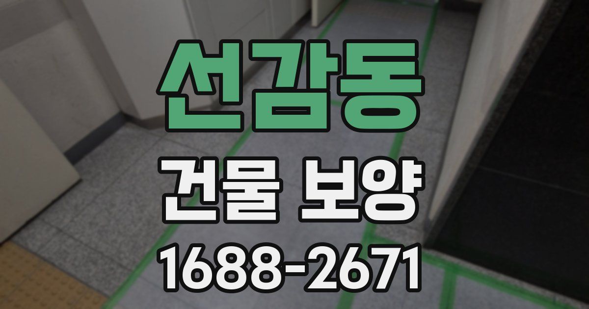 선감동 건물 보양