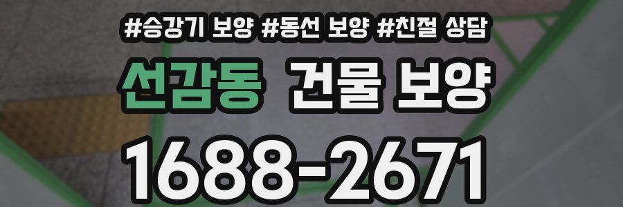선감동 건물 보양
