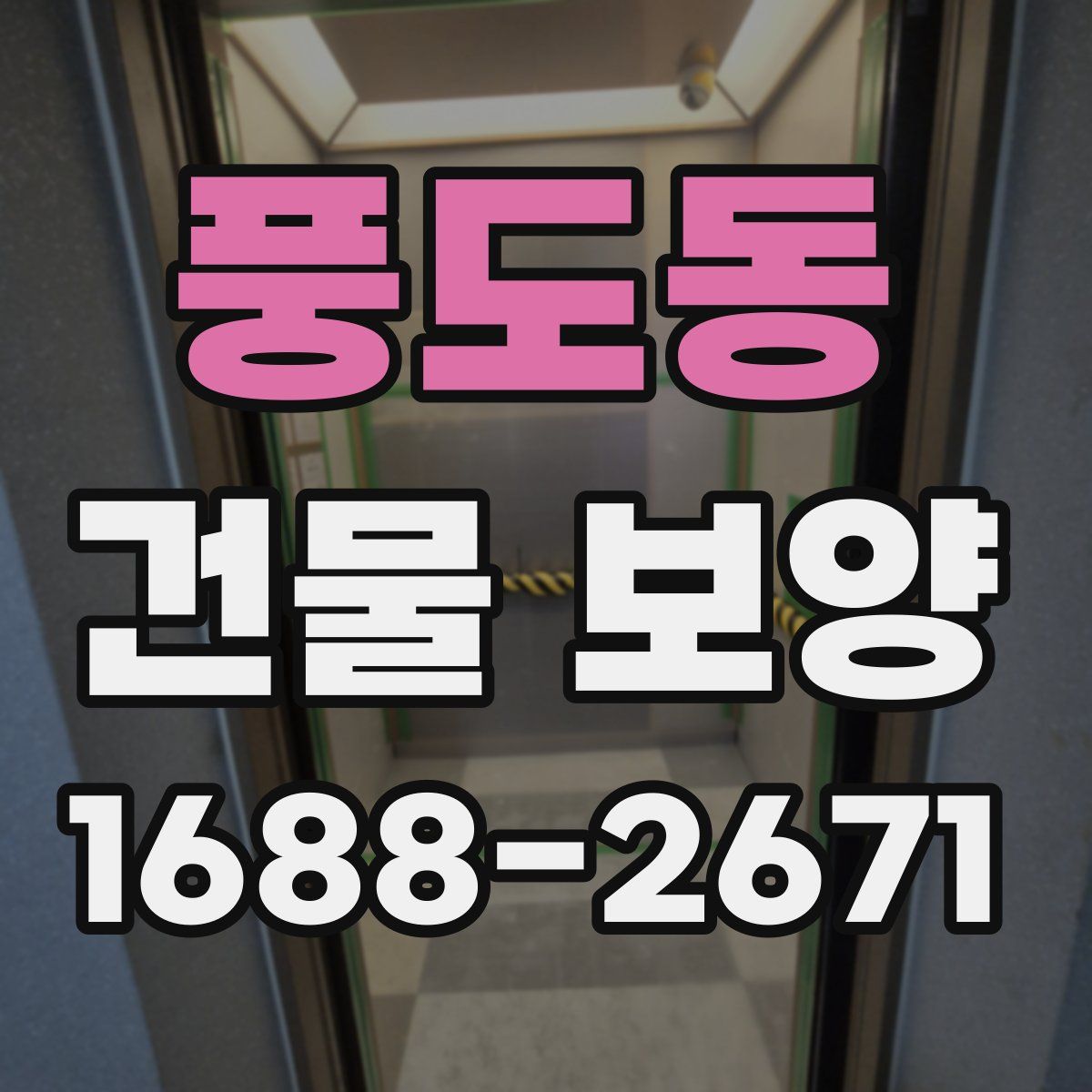 풍도동 건물 보양