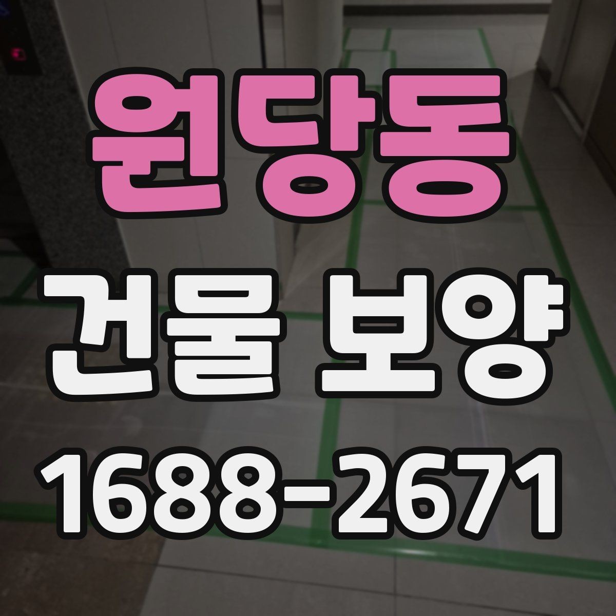 원당동 건물 보양 자재 선정 기준과 활용 방법