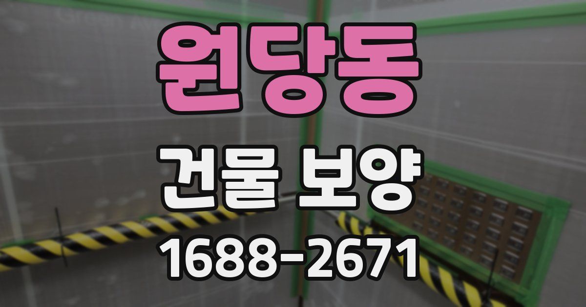 원당동 건물 보양