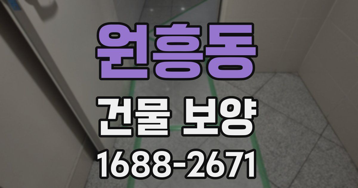 원흥동 건물 보양