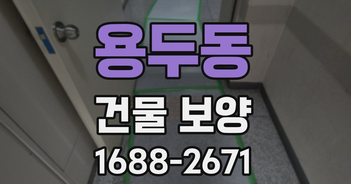 용두동 건물 보양