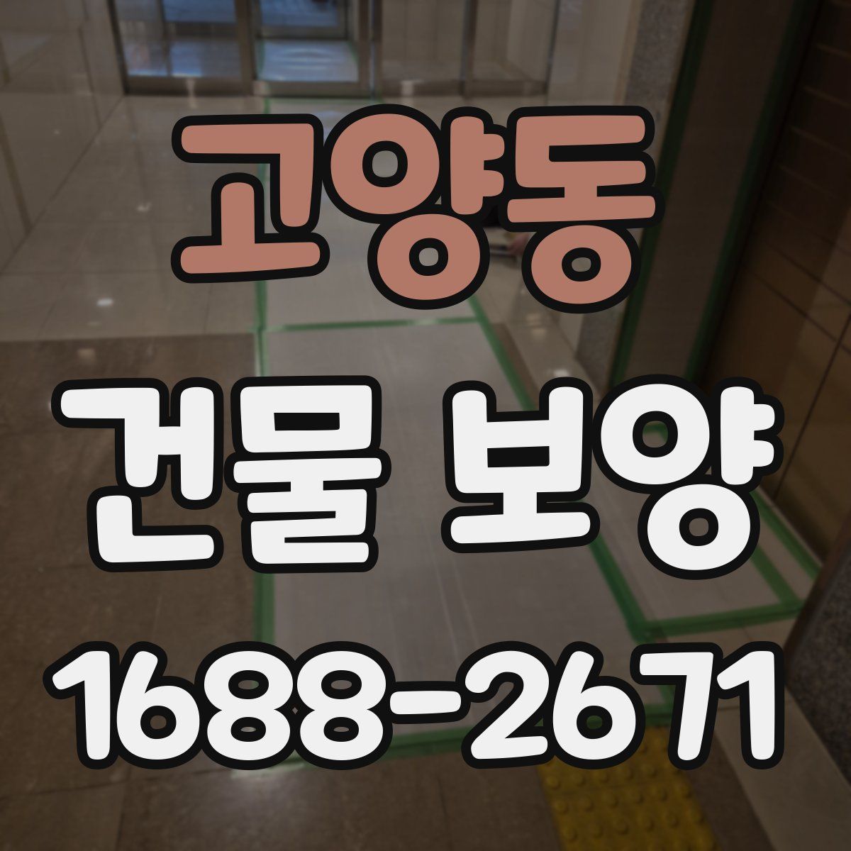 고양동 건물 보양