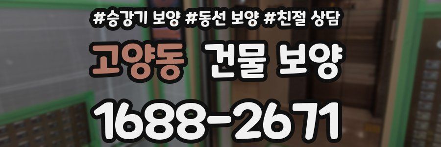 고양동 건물 보양
