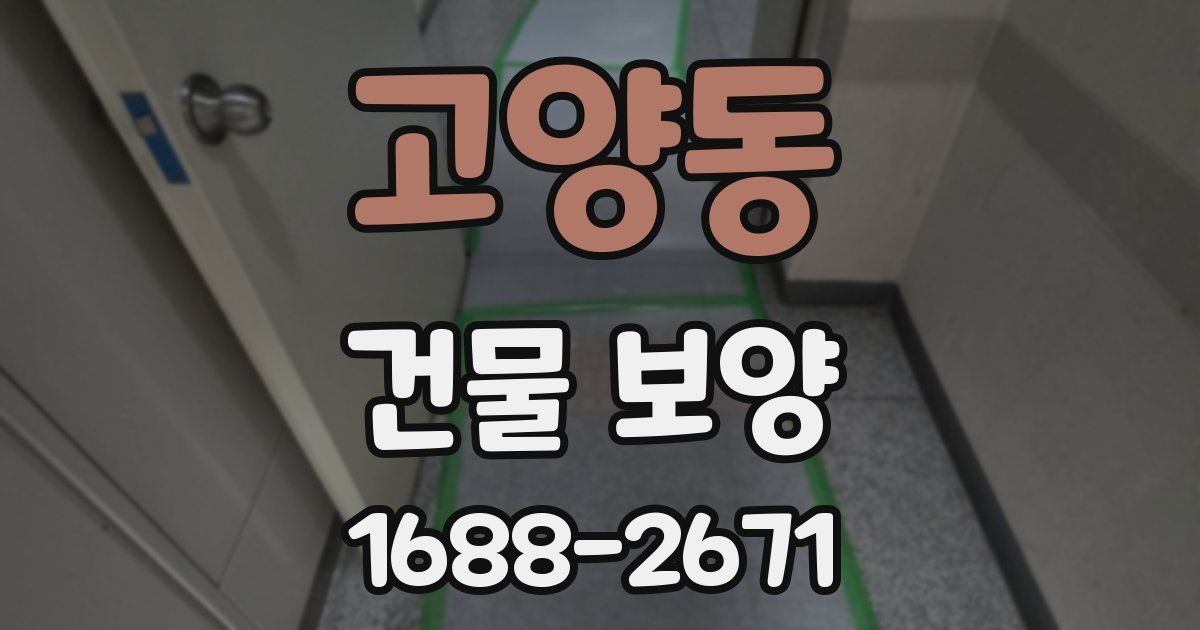 고양동 건물 보양