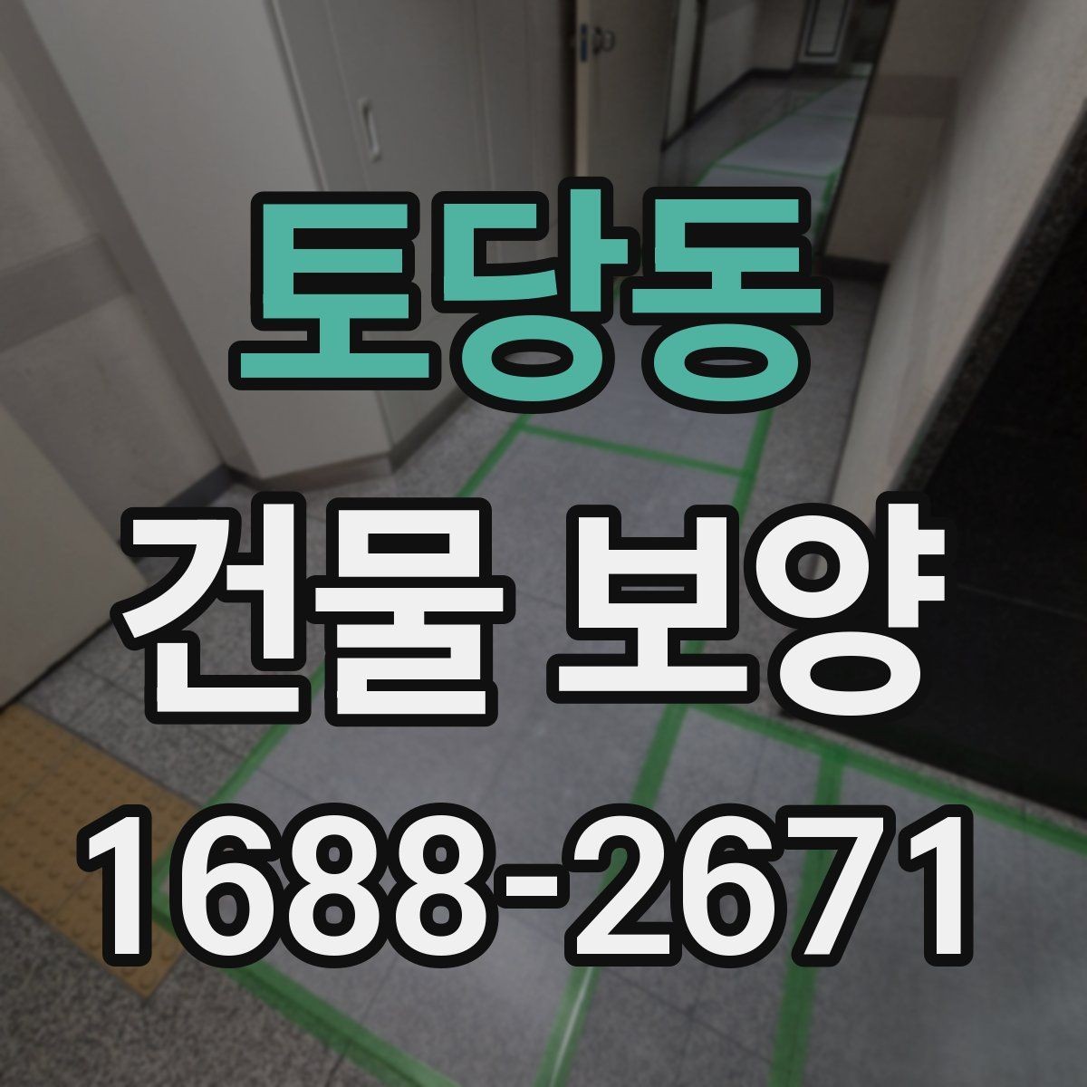 토당동 건물 보양 작업의 단계별 진행 방식