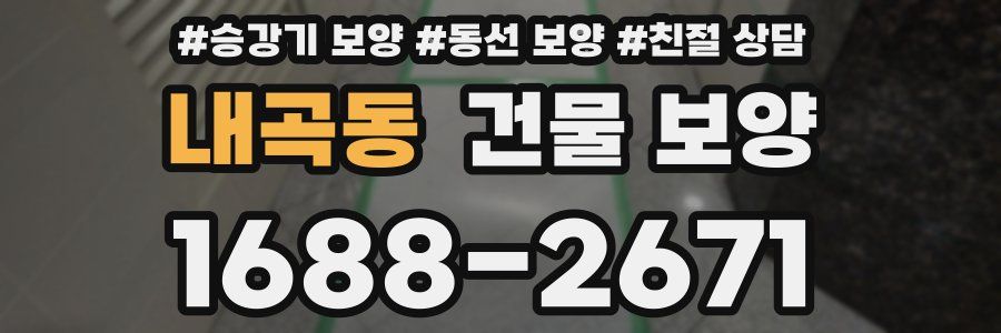 내곡동 건물 보양