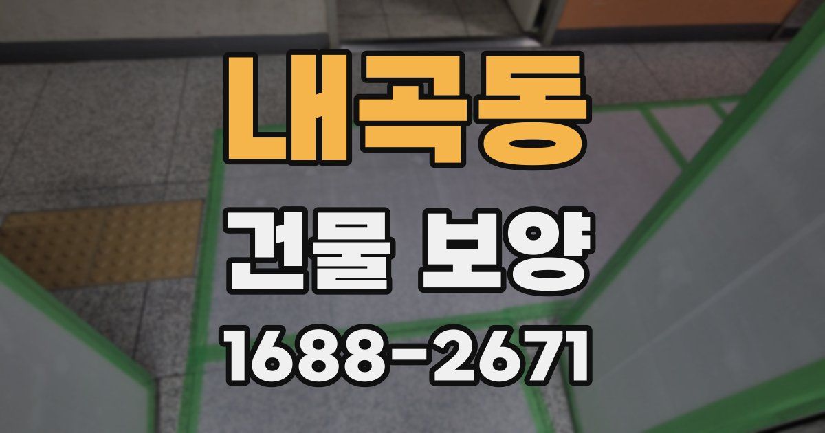 내곡동 건물 보양
