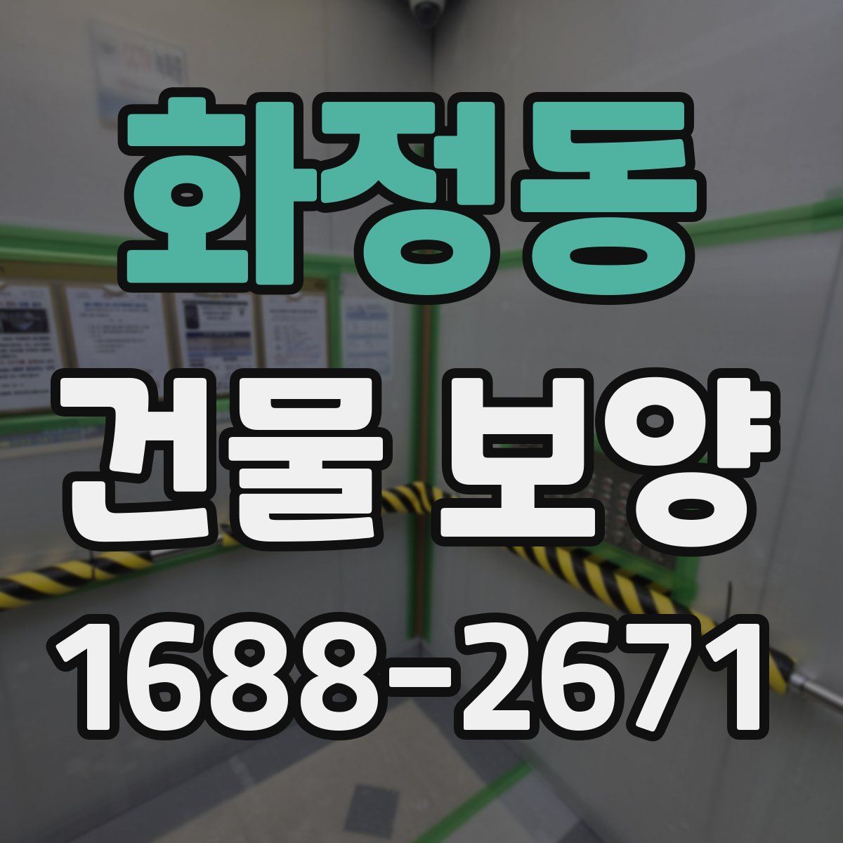 화정동 건물 보양