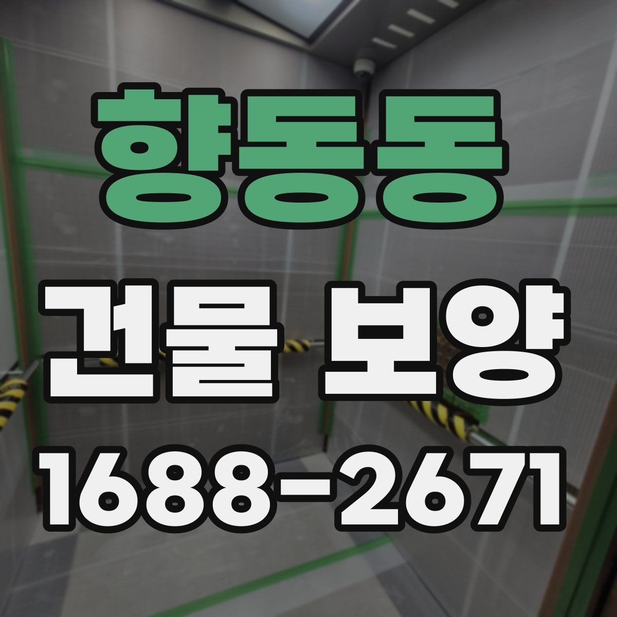 향동동 건물 보양