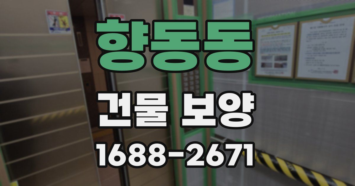 향동동 건물 보양