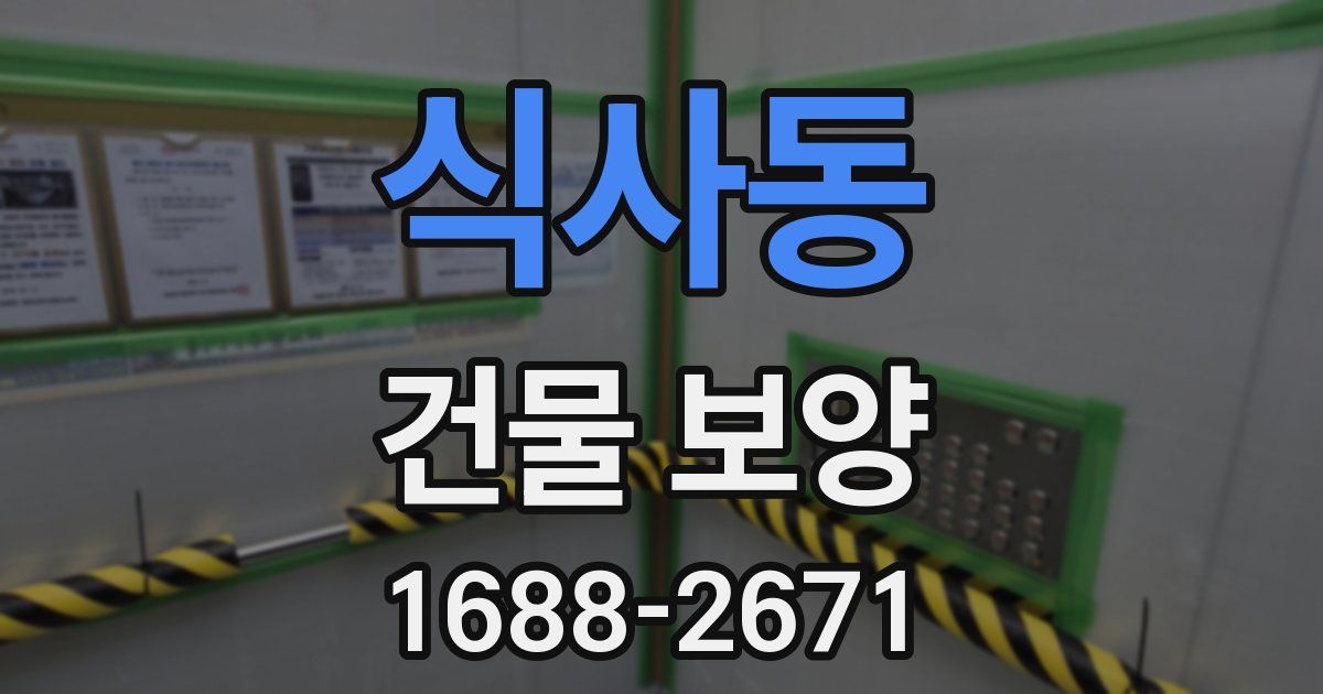 식사동 건물 보양