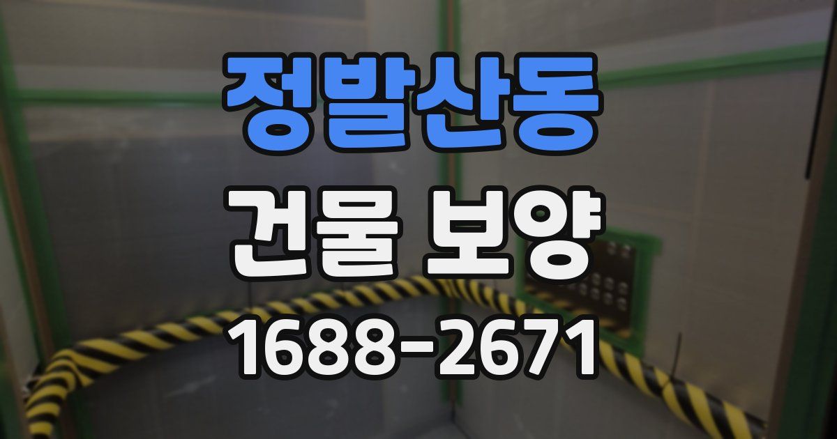 정발산동 건물 보양