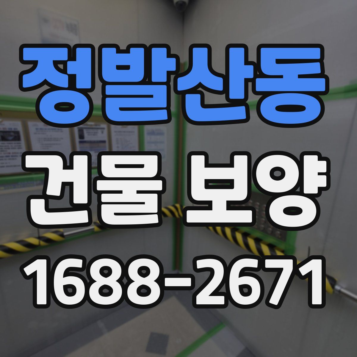 정발산동 건물 보양