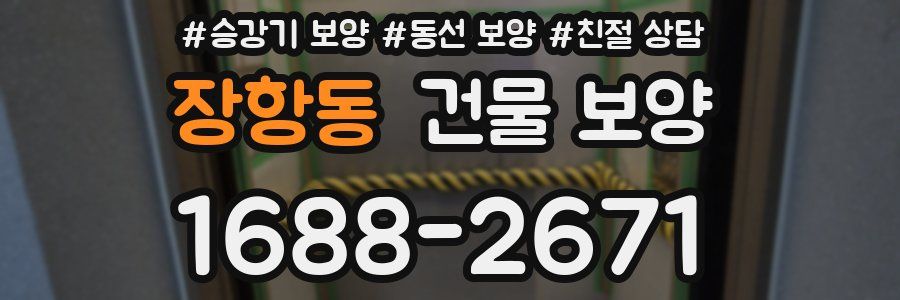 장항동 건물 보양